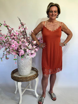 Top Jill (steenrood)